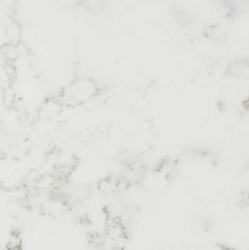 Carrara Cloud